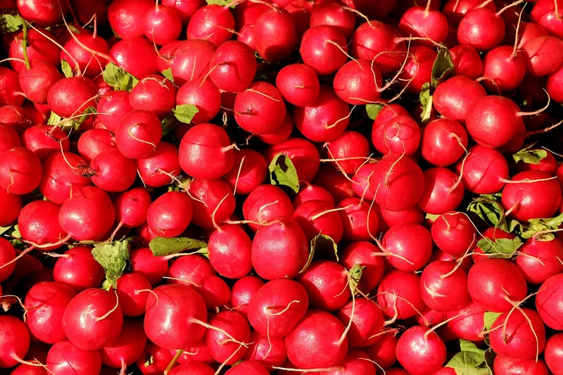 Alimentation et activités : le vrai coût de la vie locale