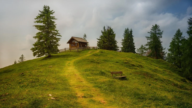 Cabane : le confort dans les arbres